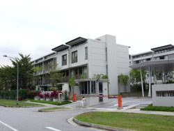 The Teneriffe (D10), Terrace #503313261